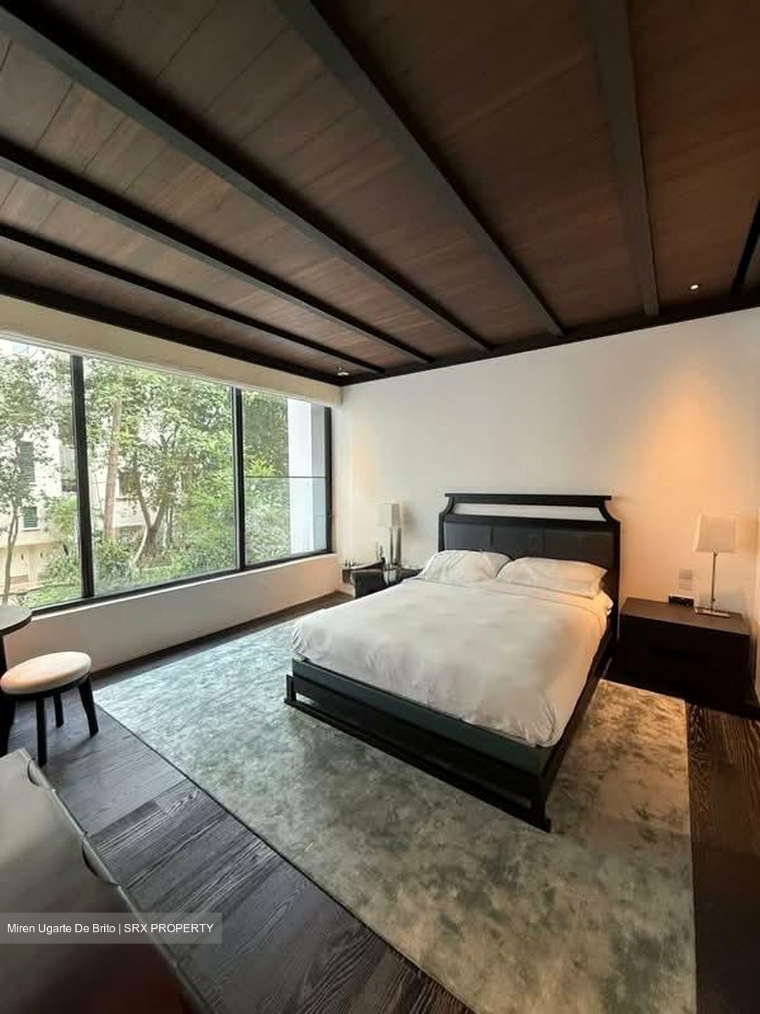 21 Anderson (D10), Condominium #545332921